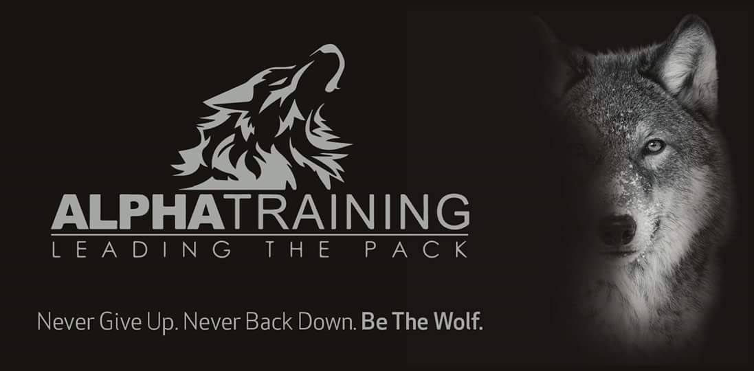 Fitness training program in Belfast Alpha Training